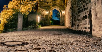castle-616561_1920 castle-616561_1920